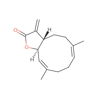 Structure image